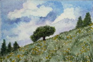 IMG_8777-copy-hillside-tree-no-frame-scaled.webp